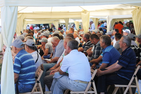 День Поля с.Беєво