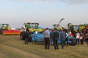 Нічний День Поля