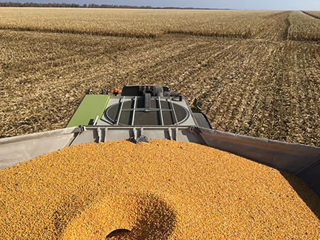 Демонстрація зернозбирального комбайна CLAAS LEXION 7700