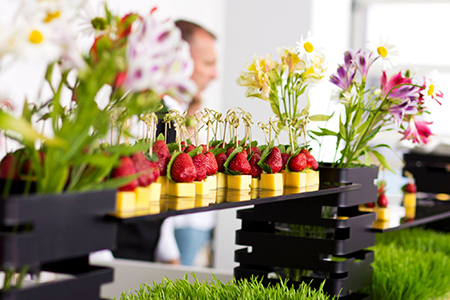 Новий центральний офіс АГРОТЕХСОЮЗ