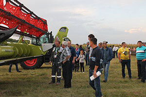 Нічний День Поля